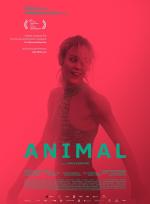 Animal poster