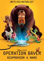 Operation bäver poster