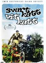 Svart katt, vit katt poster