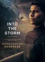 Into the Storm poster