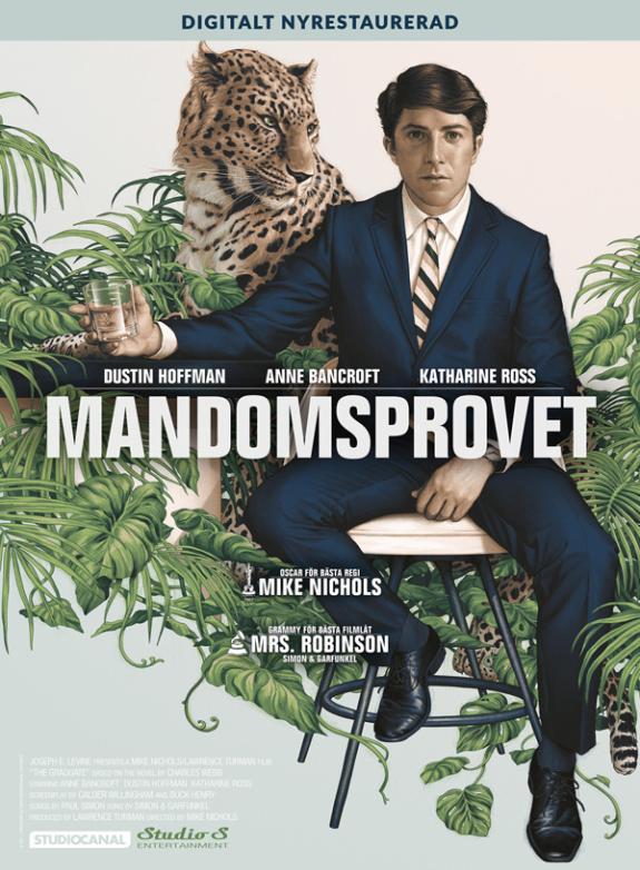 Mandomsprovet poster