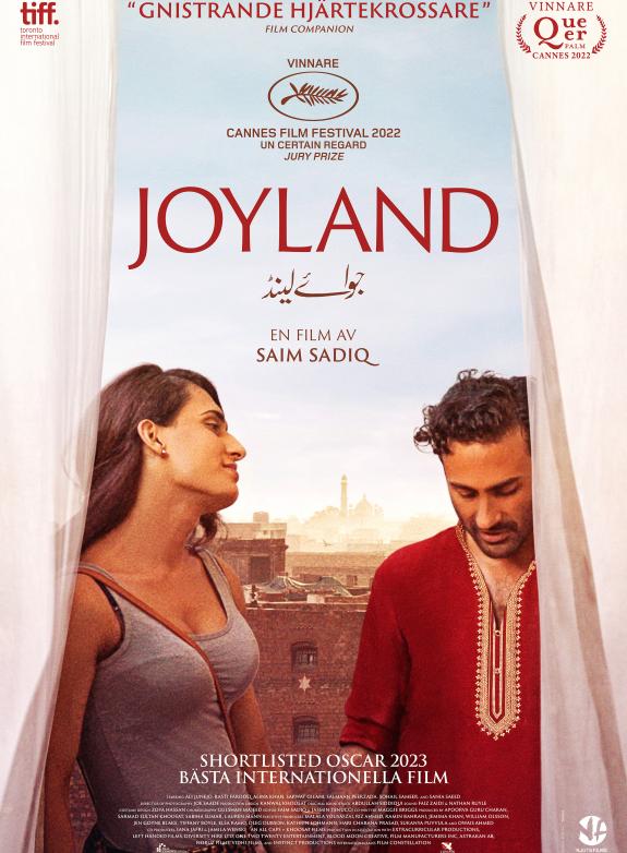 Joyland poster