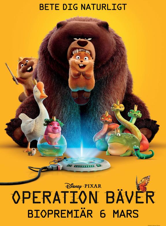 Operation bäver poster
