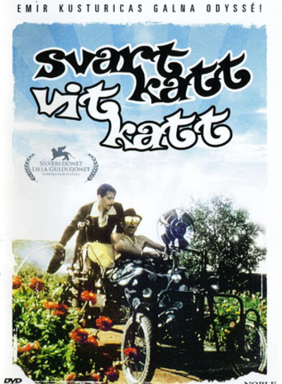 Svart katt, vit katt poster