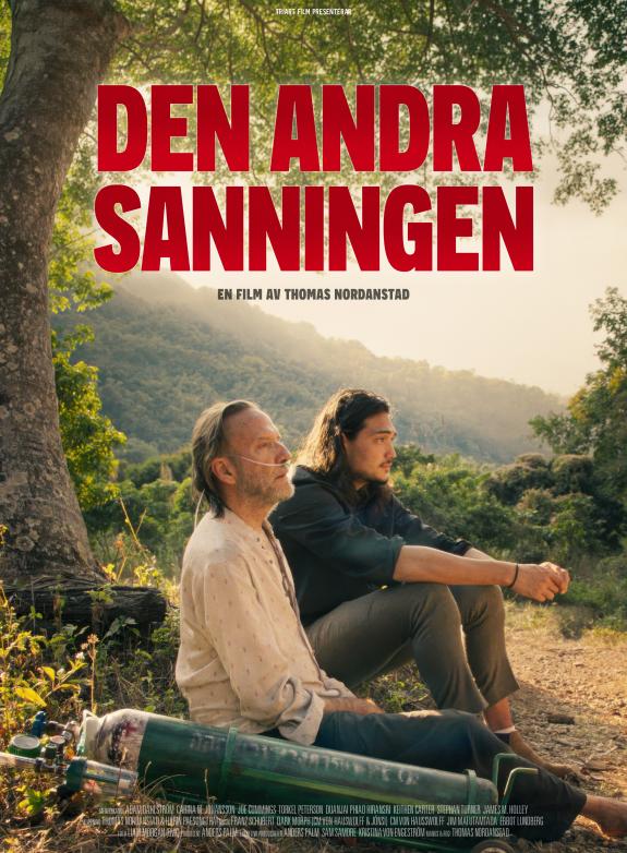 Den andra sanningen poster