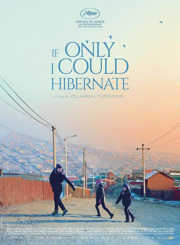 If Only I Could Hibernate poster