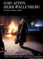 God afton, herr Wallenberg poster