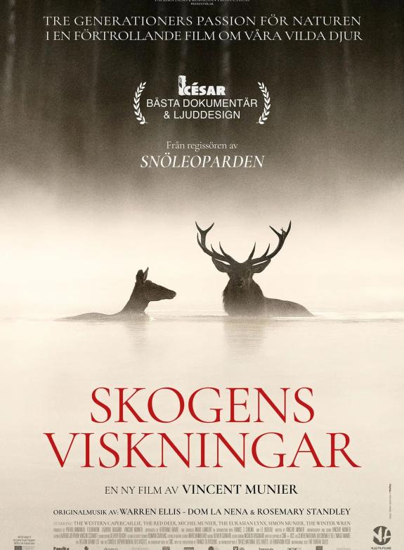 Skogens viskningar poster