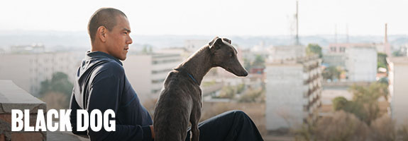 Black Dog