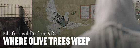 FFF: Olive trees
