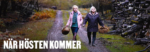 När hösten kommer När hösten kommer