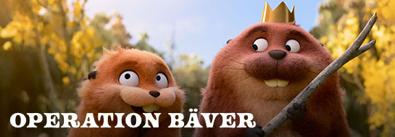 Operation Bäver Operation Bäver