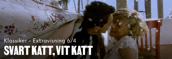 Svart katt, vit katt - extra Svart katt, vit katt - extra