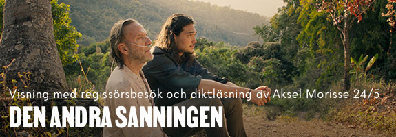Den andra sanningen