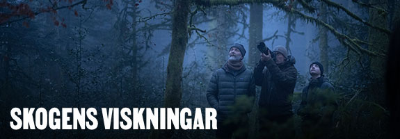 Skogens viskningar